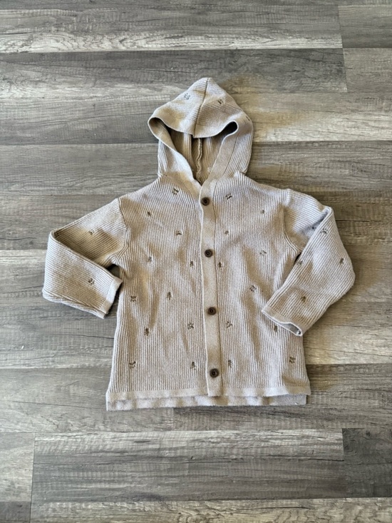 Zara Other - Boy Zara neutral hordes knitted sweater